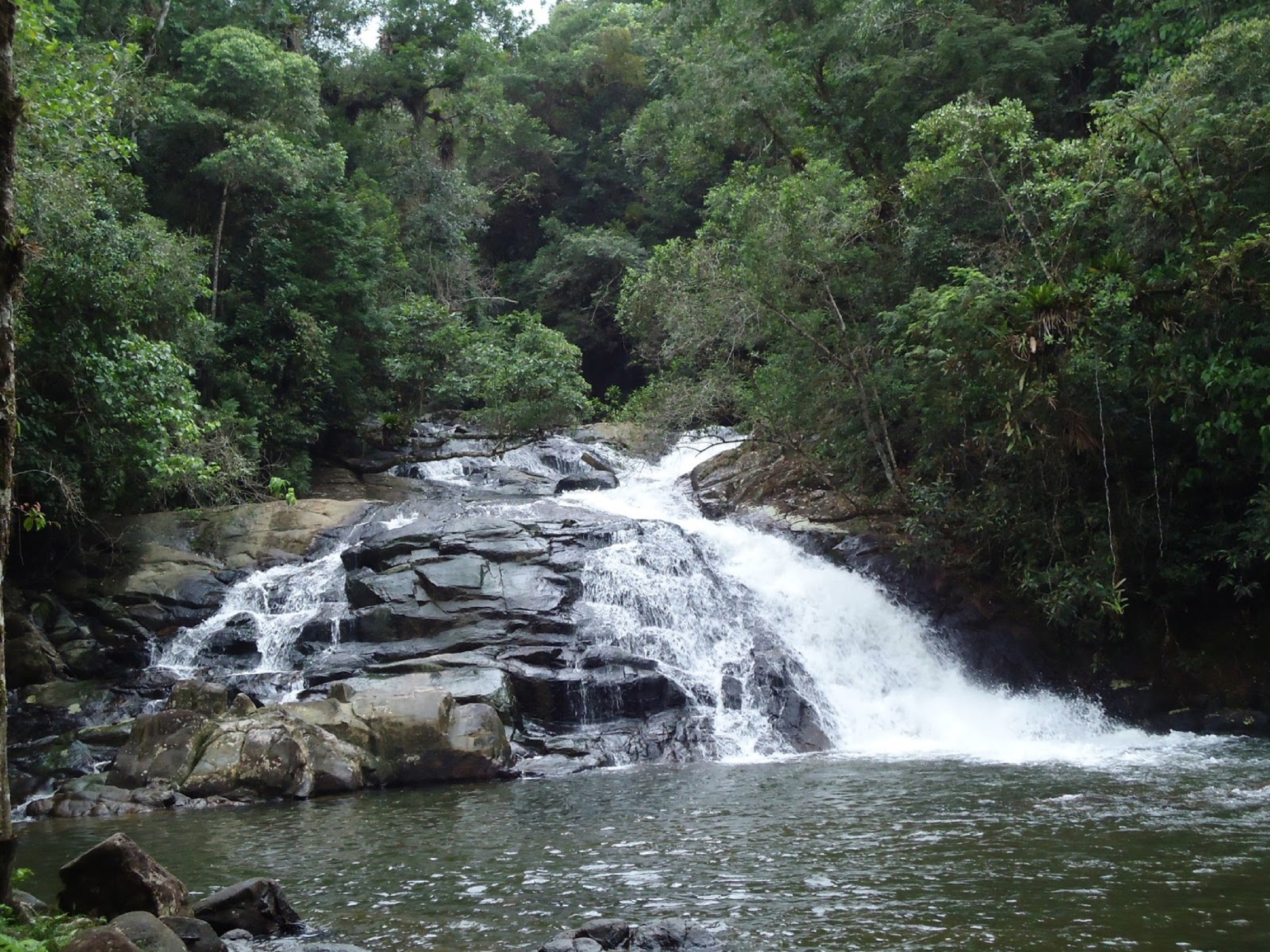 Cananeia-SP Cachoeira Pitú Cananeia-SP Cachoeira Pitú